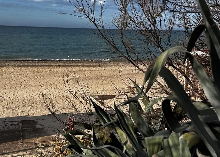 Alba Gold Luxury & Πανσιόν